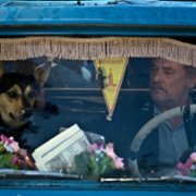 La terre outragée - galeria zdjęć - filmweb