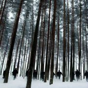 Kongen av Bastøy - galeria zdjęć - filmweb