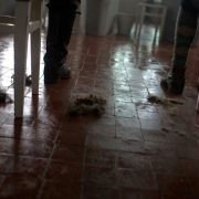 Kongen av Bastøy - galeria zdjęć - filmweb