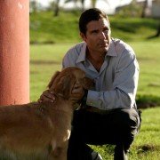 The Caller - galeria zdjęć - filmweb