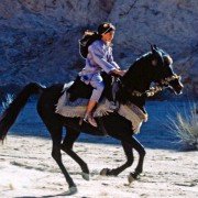 The Young Black Stallion - galeria zdjęć - filmweb