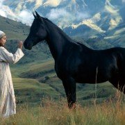 Czarny rumak - galeria zdjęć - filmweb