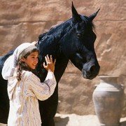Czarny rumak - galeria zdjęć - filmweb