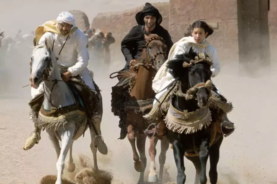Czarny rumak - galeria zdjęć - filmweb