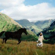 The Young Black Stallion - galeria zdjęć - filmweb