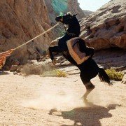 The Young Black Stallion - galeria zdjęć - filmweb