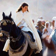 The Young Black Stallion - galeria zdjęć - filmweb