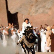 The Young Black Stallion - galeria zdjęć - filmweb