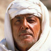 The Young Black Stallion - galeria zdjęć - filmweb