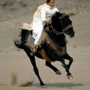 The Young Black Stallion - galeria zdjęć - filmweb