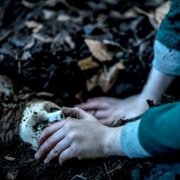 Brahms: The Boy II - galeria zdjęć - filmweb