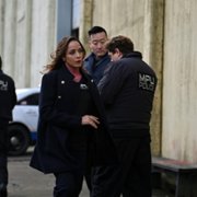 Alert - galeria zdjęć - filmweb