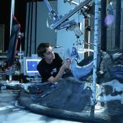 Corpse Bride - galeria zdjęć - filmweb