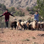 Rez Ball - galeria zdjęć - filmweb