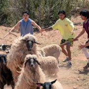 Rez Ball - galeria zdjęć - filmweb