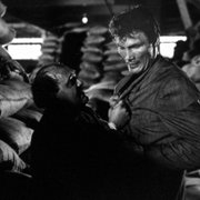 Panika na ulicach - galeria zdjęć - filmweb