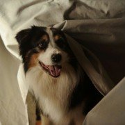 Fünf Freunde 2 - galeria zdjęć - filmweb