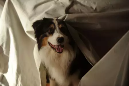 Piątka przyjaciół 2 - galeria zdjęć - filmweb