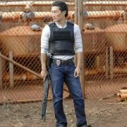 Hawaii Five-0 - galeria zdjęć - filmweb