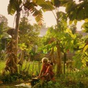 The Look of Silence - galeria zdjęć - filmweb