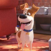 The Secret Life of Pets 2 - galeria zdjęć - filmweb