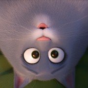 The Secret Life of Pets 2 - galeria zdjęć - filmweb