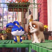 The Secret Life of Pets 2 - galeria zdjęć - filmweb