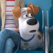 The Secret Life of Pets 2 - galeria zdjęć - filmweb
