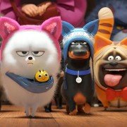 The Secret Life of Pets 2 - galeria zdjęć - filmweb