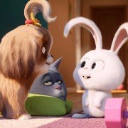 The Secret Life of Pets 2 - galeria zdjęć - filmweb