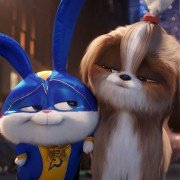 The Secret Life of Pets 2 - galeria zdjęć - filmweb