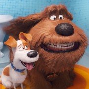 The Secret Life of Pets 2 - galeria zdjęć - filmweb