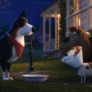The Secret Life of Pets 2 - galeria zdjęć - filmweb