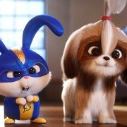 The Secret Life of Pets 2 - galeria zdjęć - filmweb