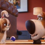 The Secret Life of Pets 2 - galeria zdjęć - filmweb