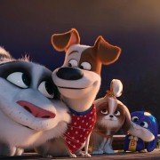 The Secret Life of Pets 2 - galeria zdjęć - filmweb