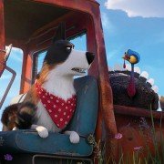 The Secret Life of Pets 2 - galeria zdjęć - filmweb