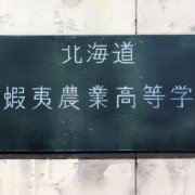 Gin no Saji - galeria zdjęć - filmweb