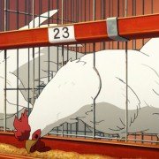 Gin no Saji - galeria zdjęć - filmweb
