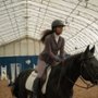 Beyond Black Beauty - galeria zdjęć