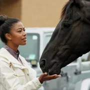 Beyond Black Beauty - galeria zdjęć - filmweb