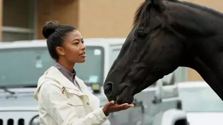 Beyond Black Beauty - galeria zdjęć - filmweb