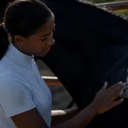 Beyond Black Beauty - galeria zdjęć - filmweb