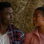 Beyond Black Beauty - galeria zdjęć