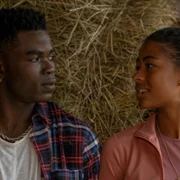 Beyond Black Beauty - galeria zdjęć - filmweb