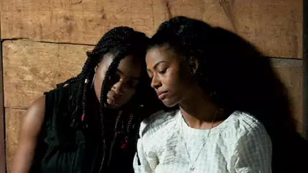 Beyond Black Beauty - galeria zdjęć - filmweb
