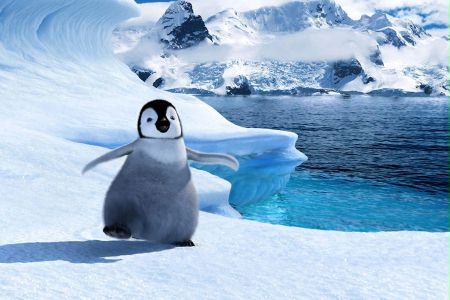 Happy Feet: Tupot małych stóp - galeria zdjęć - filmweb