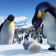 Happy Feet: Tupot małych stóp - galeria zdjęć - filmweb