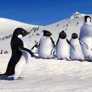 Happy Feet: Tupot małych stóp - galeria zdjęć - filmweb