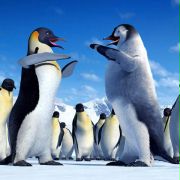 Happy Feet: Tupot małych stóp - galeria zdjęć - filmweb